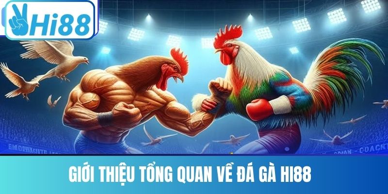 Giới thiệu Tổng quan về Đá gà Hi88